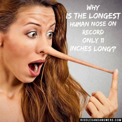 Why is the longest human nose on record only eleven inches long?