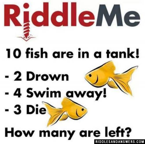 Fish Riddle