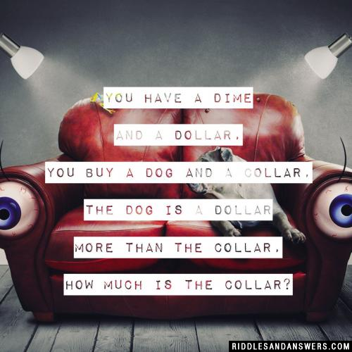 You have a dime and a dollar, you buy a dog and a collar, the dog is a dollar more than the collar, how much is the collar? 