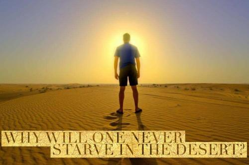 Why will one never starve in the desert?