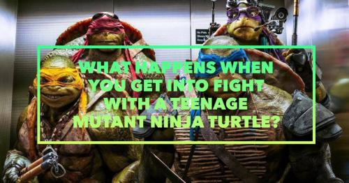 What happens when you get into fight with a Teenage Mutant Ninja Turtle? 