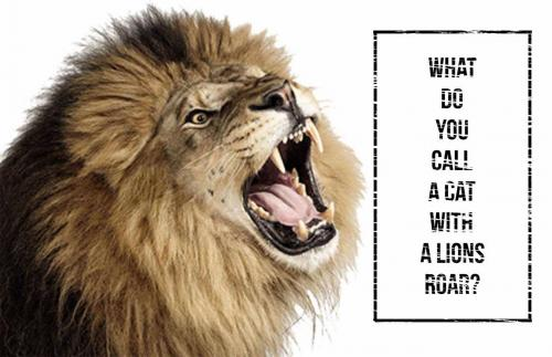 What do you call a cat with a lions roar? 