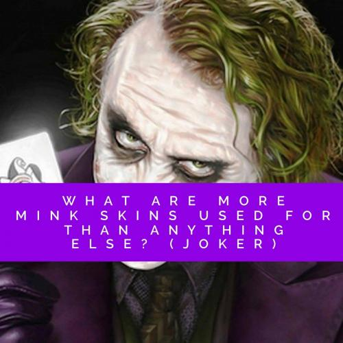 What are more mink skins used for than anything else? (Joker)  