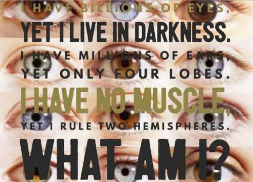 I have billions of eyes, yet I live in darkness. I have millions of ears, yet only four lobes. I have no muscle, yet I rule two hemispheres. What am I?