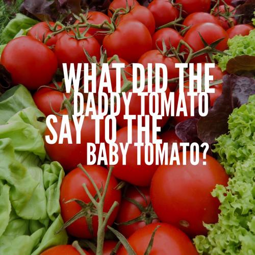 What did the daddy tomato say to the baby tomato?