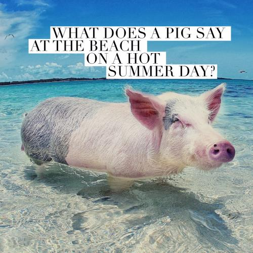 What does a pig say at the beach on a hot summer day?