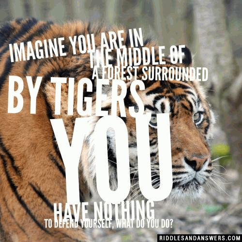 Imagine you are in the middle of a forest surrounded by tigers, you have nothing to defend yourself, what do you do?