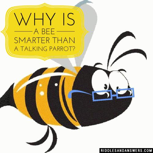 Why is a bee smarter than a talking parrot?
