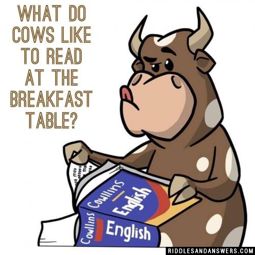 What do cows like to read at the breakfast table?