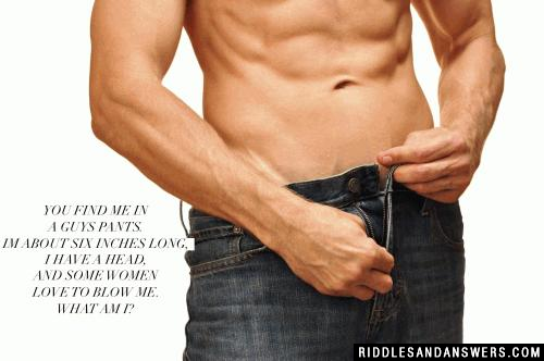 You find me in a guys pants. Im about six inches long, I have a head, and some women love to blow me. What am I?