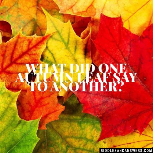 What did one autumn leaf say to another? 