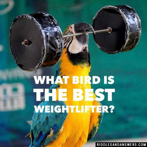 What bird is the best weightlifter?