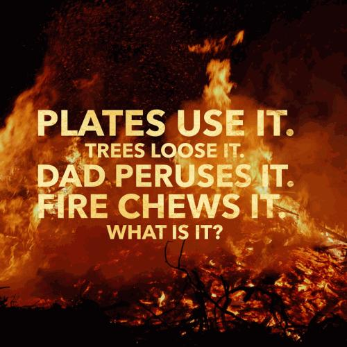 Plates use it.
Trees loose it.
Dad peruses it.
Fire chews it.

What is it?