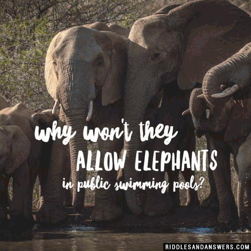 Why won't they allow elephants in public swimming pools?