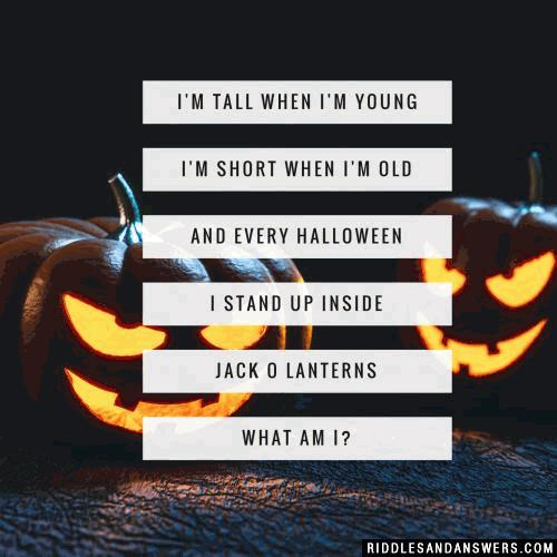 I'm tall when I'm young, I'm short when I'm old, and every Halloween I stand up inside Jack O Lanterns. What am I?