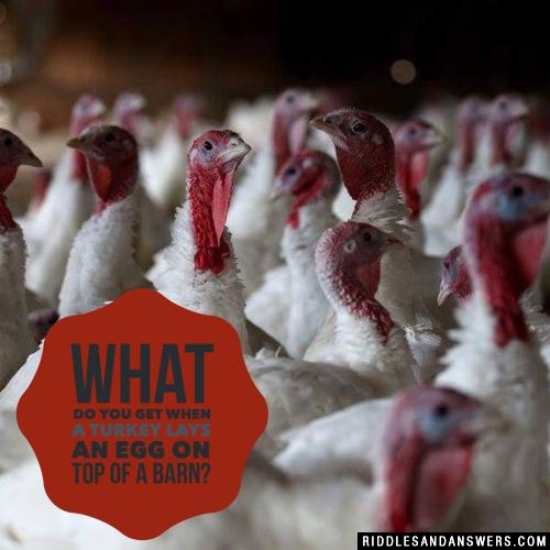 What do you get when a turkey lays an egg on top of a barn?