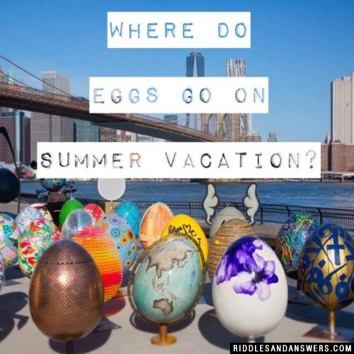 Where do eggs go on summer vacation?