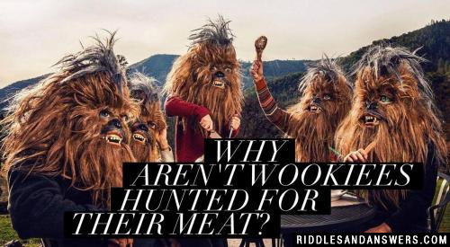 Why aren't Wookiees hunted for their meat?