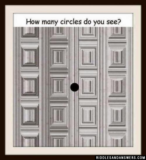 Can you identify the number of circles present in the picture? 