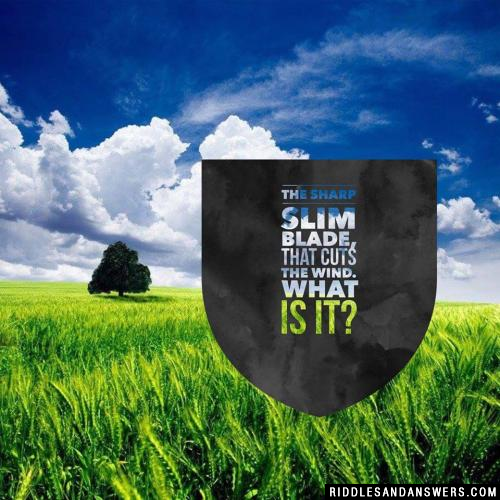 The sharp slim blade, that cuts the wind.

What is it?