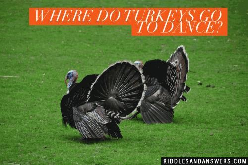 Where do turkeys go to dance?