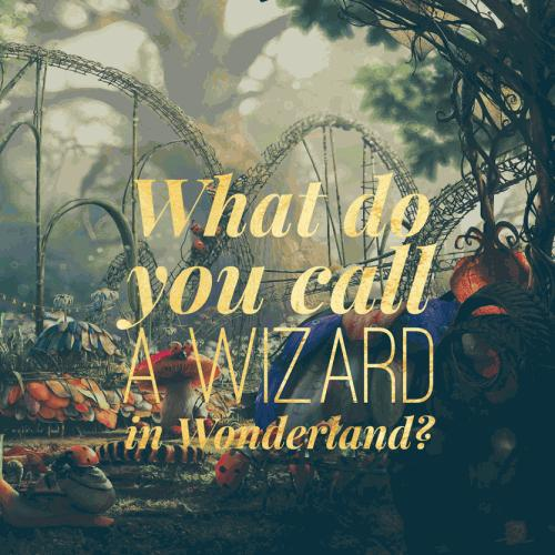 What do you call a wizard in Wonderland?