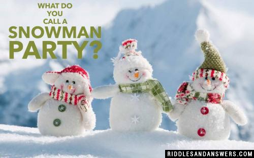 What do you call a snowman party?