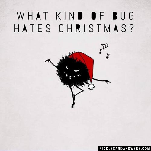 What kind of bug hates Christmas?