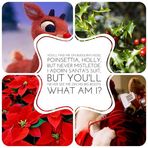 You'll find me on Rudolph's nose, poinsettia, holly, but never mistletoe. I adorn Santa's suit, but you'll never see me on his big boots. What am I?