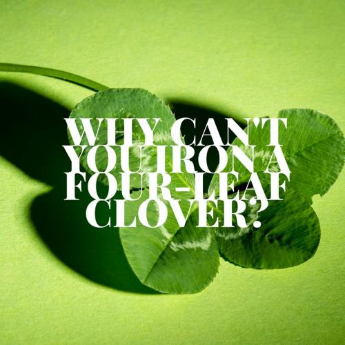 Why can't you iron a for-leaf clover?