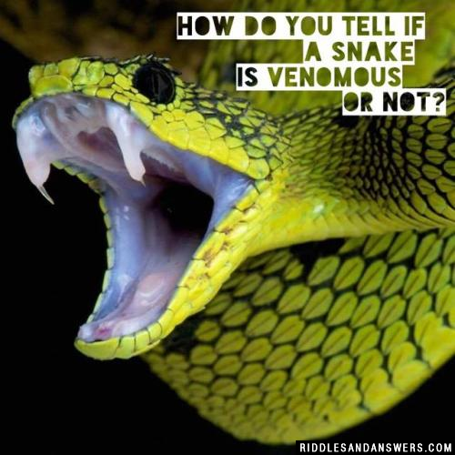 How do you tell if a snake is venomous or not?