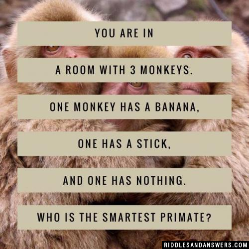 You are in a room with 3 monkeys. One monkey has a banana, one has a stick, and one has nothing. Who is the smartest primate?