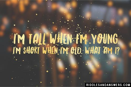 I'm tall when I'm young, I'm short when I'm old. What am I?