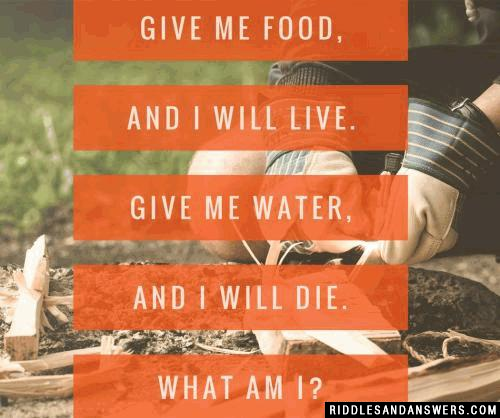 Give me food, and I will live. Give me water, and I will die. What am I?