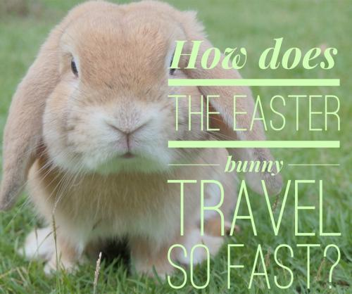 How does the Easter bunny travel so fast?