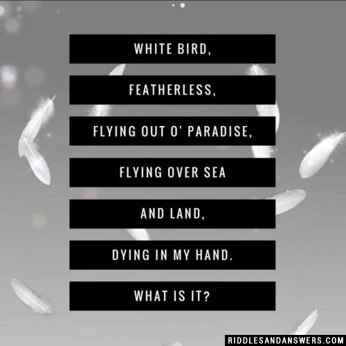 White bird, featherless, flying out o' paradise, flying over sea and land, dying in my hand. What is it?