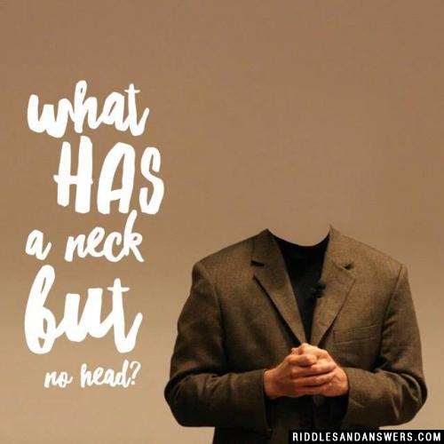 What has a neck but no head?