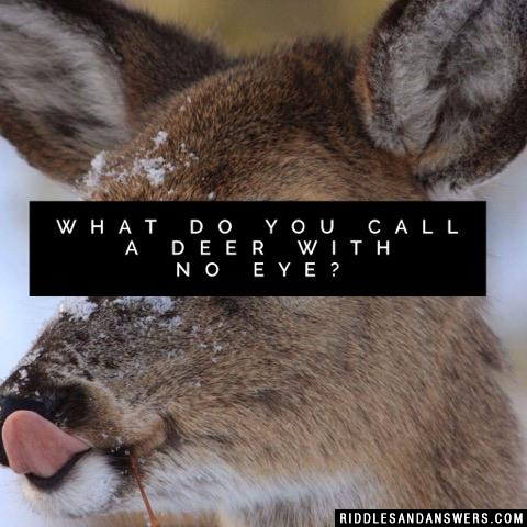 What do you call a deer with no eye?
