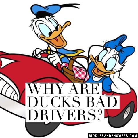 Why are ducks bad drivers? 