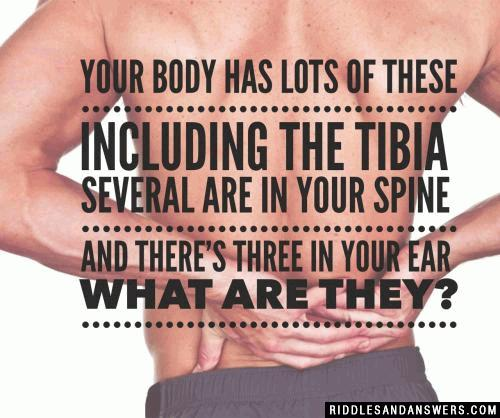Your body has lots of these
Including the tibia
Several are in your spine
And theres three in your ear

What are they?
