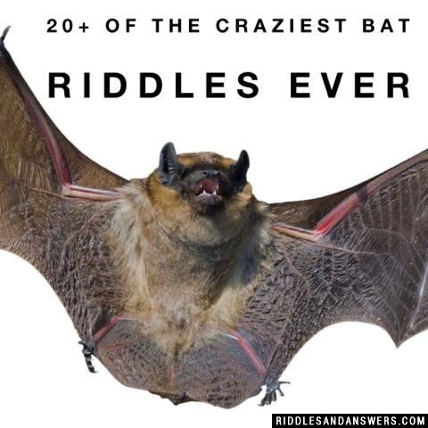 Bat Riddles