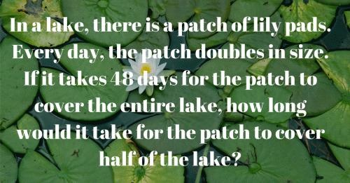 In a lake, there is a patch of lily pads. Every day, the patch doubles in size. If it takes 48 days for the patch to cover the entire lake, how long would it take for the patch to cover half the lake?