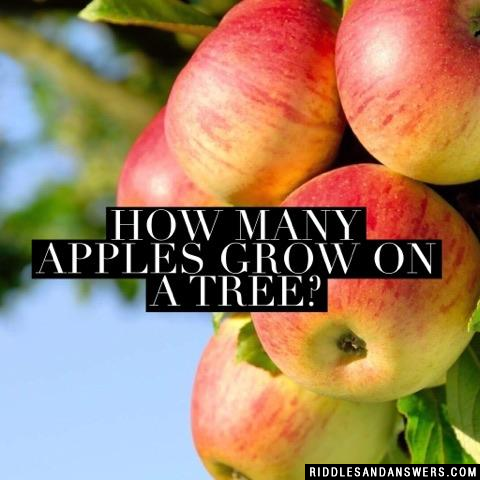 How many apples grow on a tree?