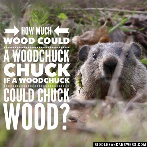 How much wood could a woodchuck chuck if a woodchuck could chuck wood?