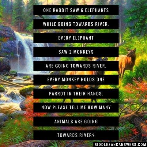 One rabbit saw 6 elephants while going towards River.
Every elephant saw 2 monkeys are going towards river.
Every monkey holds one parrot in their hands.

Now please tell me how many animals are going towards river?