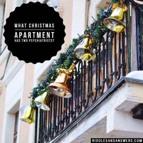 What Christmas apartment has two psychiatrists?