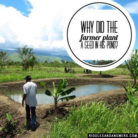Why did the farmer plant a seed in his pond?