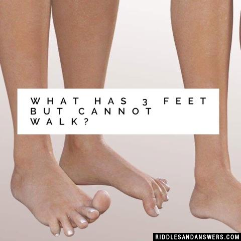 What has 3 feet but cannot walk?