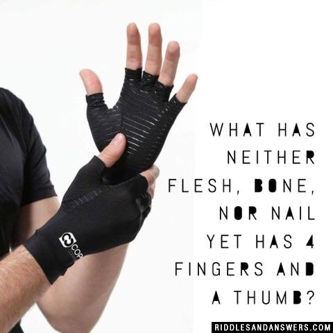 What has neither flesh, bone, nor nail yet has 4 fingers and a thumb?  