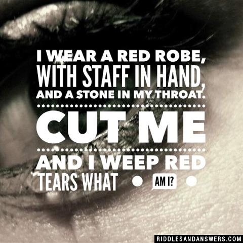 I wear a red robe,
With staff in hand,
And a stone in my throat.
Cut me and I weep red tears

What am I?